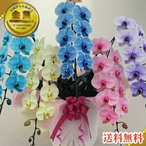 生花 アレンジメントフラワー 青の人気商品 通販 価格比較 価格 Com