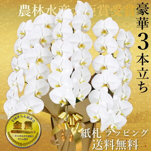 Ӓ3{EӒ(R`E)Ӓ3{/JXj/җj/jEӒ 3{/Ӓ /jԁEJXjEjԁEԁE yEӒzӒ 