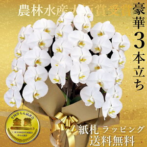 B/z/Ӓ3{/JXj/җj/j /jԁEJXjEjԁEԁE  jEjԂEҗEEĎ@vH@Ε銔