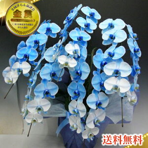 u[GKXӒ5{@ςӒ@u[Ӓ@Ӓ5{/JXj/җj/jEӒ 3{/Ӓ /jԁEJXjEjԁEԁEy