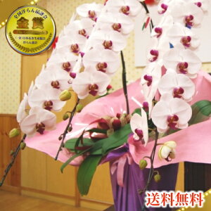 Ӓ3{39ց`(Q܂)3{/JXj/җj/jEӒ 3{/Ӓ /jԁEJXjEjԁEԁE yEӒzӒ jEj