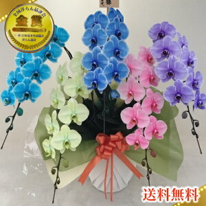 生花 アレンジメントフラワー 青の人気商品 通販 価格比較 価格 Com
