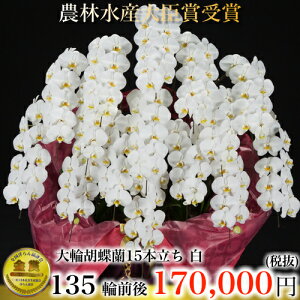 Ӓ15{EӒ(R`E)Ӓ15{/JXj/җj/jEӒ 15{/Ӓ /jԁEJXjEjԁEԁE yEӒzӒ