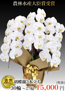 Ӓ3{EӒ(R`E)Ӓ3{/JXj/җj/jEӒ 3{/Ӓ /jԁEJXjEjԁEԁE yEӒzӒ 