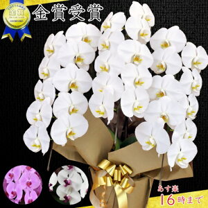 Ӓ3{27ֈȏQ šIӒ/JXj/җj/jEӒ 3{/Ӓ /jԁEJXjEjԁEԁE yEӒzӒ 