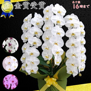 Ӓ3{EӒ(R`E)Ӓ3{/JXj/җj/jEӒ 3{/Ӓ /jԁEJXjEjԁEԁE yEӒzӒ 