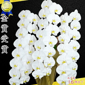 v~AӒ3{42ց`47(ڂ݊܂)B/z/Ӓ3{/JXj/җj/j /jԁEJXjҗEEĎ@vH@Ε銔