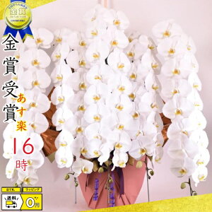 Ӓ5{EӒ(R`E)Ӓ5{yzӒ jEӒEJXjEEӒEӒ ցEӒ JXjyEӒzV|WE@NLO