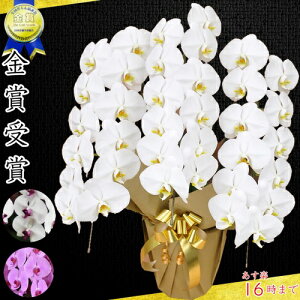 Ӓ3{EӒ(R`E)Ӓ3{/JXj/җj/jEӒ 3{/Ӓ /jԁEJXjEjԁEԁE yEӒzӒ 