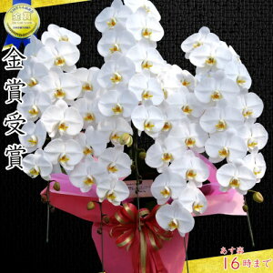 Ӓ5{EӒ(R`E)Ӓ5{yzӒ jEӒEJXjEEӒEӒ ցEӒ JXjyEӒzV|WE@NLO