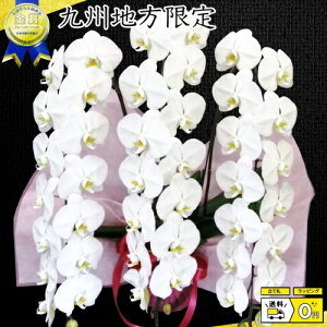 v~AӒ3{42ց`47ց@Q܂ށ@Bn@AꌧA茧AF{A啪A{茧A