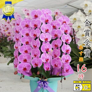 Ӓ3{39ց`(Q܂)3{/JXj/җj/jEӒ 3{/Ӓ /jԁEJXjEjԁEԁE yEӒzӒ jEj