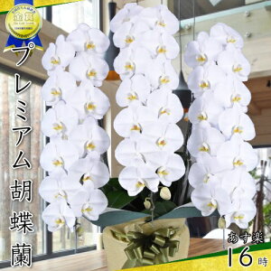 Ӓ3{39ց`(Q܂)3{/JXj/җj/jEӒ 3{/Ӓ /jԁEJXjEjԁEԁE yEӒzӒ jEj