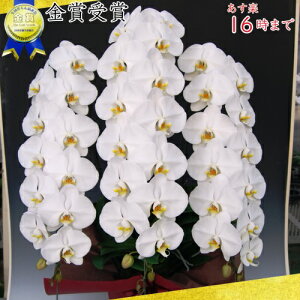 Ӓ3{39ց`(Q܂)3{/JXj/җj/jEӒ 3{/Ӓ /jԁEJXjEjԁEԁE yEӒzӒ jEj