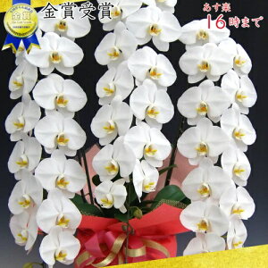 Ӓ3{39ց`(Q܂)3{/JXj/җj/jEӒ 3{/Ӓ /jԁEJXjEjԁEԁE yEӒzӒ jEj