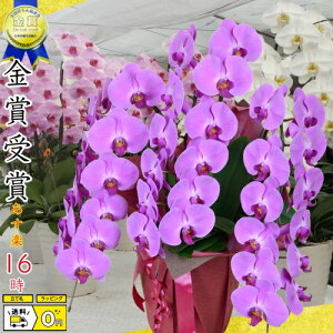 Ӓ3{39ց`(Q܂)3{/JXj/җj/jEӒ 3{/Ӓ /jԁEJXjEjԁEԁE yEӒzӒ jEj