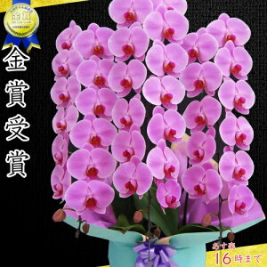 Ӓ3{39ց`(Q܂)3{/JXj/җj/jEӒ 3{/Ӓ /jԁEJXjEjԁEԁE yEӒzӒ jEj