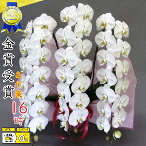 v~AӒ3{42ց`47(ڂ݊܂)B唗́@vH@Ε銔呍͂Ȃ₩hV̓