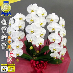 Ӓ3{EӒ(R`E)Ӓ3{/JXj/җj/jEӒ 3{/Ӓ /jԁEJXjEjԁEԁE yEӒzӒ 