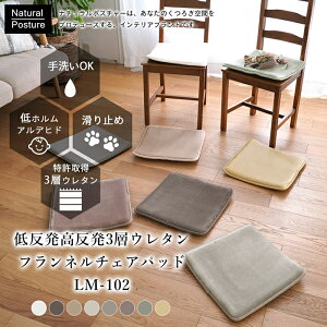 y2_ȏőP10{IvGg[420`z y`FApbhz ᔽ×3wtl }bg XNGA lp 40×40cm ᔽ  tl J[ `FA ֎q NbV