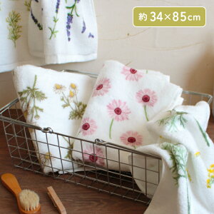 tFCX^I ԕ ӂӂ Q { 100% sN  i`  n[u t[ t K[x J~[ tFl x_[ 蕨 v[g  {^jJ 