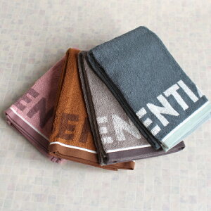 oX^I  RpNgoX^I 50×100cm 100 rbOtFCX ~joX^I 8F X ȃXy[X   S o[Vu n ݃J[ 킢 z 