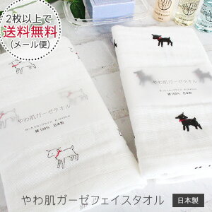 y2ȏőz픧K[[tFCX^I M M tFCX^I K[[ K[[ ^I 킢 M €y픧K[[z{ 100 Ԃ oYj j 