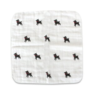 �n���J�` �€ �A�q�� �K�[�[�n���J�` �K�[�[�^�I�� �M�t�g �q�� ���f�B�[�X �v���[���g �L�b�Y ���{�� �x�r�[ �� �ۈ牀 �^�I���n���J�` �܂Ƃߔ��� �c�t�� �������� ��픧�K�[�[�n���J�` 