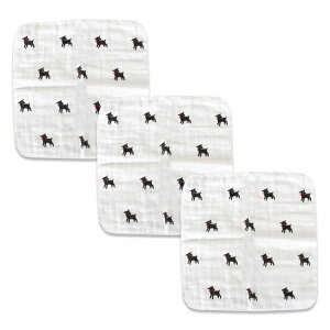 K[[nJ` 3Zbg € Aq Ԃ K[[^I Mtg Ԃ { xr[ 픧K[[nJ` V ӂӂ v`Mtg 킢  G u[  R