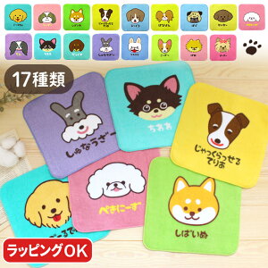 y2_ȏőP10{IvGg[420`z ~jnJ`  nJ` yIׂ郁bZ[WV[z킢 Mtg ^I   nJ`^I ybg ̎q ObY ^