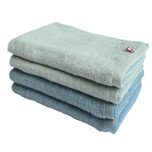 y2_ȏőP10{IvGg[420`z ^I XoX^I ЖʃK[[ 1 3 4 Zbg  z  100 { 34×110cm oX^I  ~j nK[Ɋo