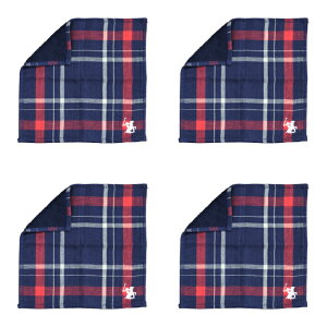 y2_ȏőP10{IvGg[420`z nJ` ~jnJ` EHbV^I 4Zbg ܂Ƃߔ `FbN ro[qY|Nu hJ S K[[ pC 23×23cm  