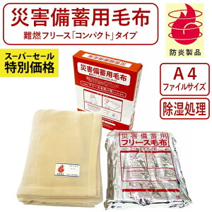 y2_ȏőP10{IvGg[420`z ЊQ~pRt[Xѕz ЊQ~pѕz RpNg A4TCY fXNۊ A h\ h hЂ̓ ЊQ ~ 펞 hЃObY