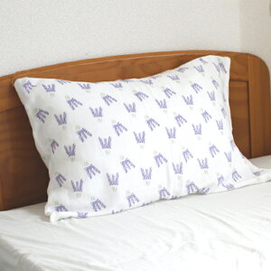 Jo[ K[[ { o 100 48×66cm 43×63cm _uK[[ 픧 gauze ԕ x_[ M ^I KN [Y  ؂₩ v[g fB[X dK[[ €  q 􂦂 