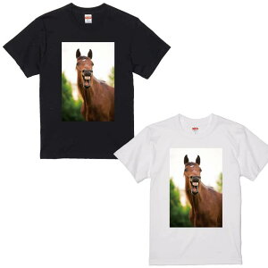 n TVc Y fB[X  n vgTVc  킢 ubN zCgTVc 5.6IX  TVc Y TVc fB[X TVc yAbN NR[f@