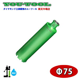 _ChRArbg 75 Green edge [c[ ݋@B H@B RA{[O RAhO z 肷 tFX _Ch RAh  O[GbW