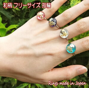 w t[TCY fB[X O w TCY a  a ANZT[ т { w p ANZT[ O w TCYt[ v`Mtg aG v[g  