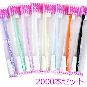 [V[Y @nuV@8FA\[g ѐۉH242.5g`[ut(1Zbg2000{)@120.86~ōy͕ʓrz