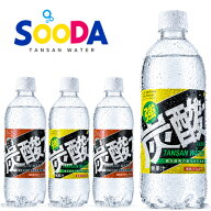 【最安値に挑戦】強炭酸水 炭酸水 500ml 選べる 48本 プレーン レモン 国産 無糖 ケース ハイボール サワ…