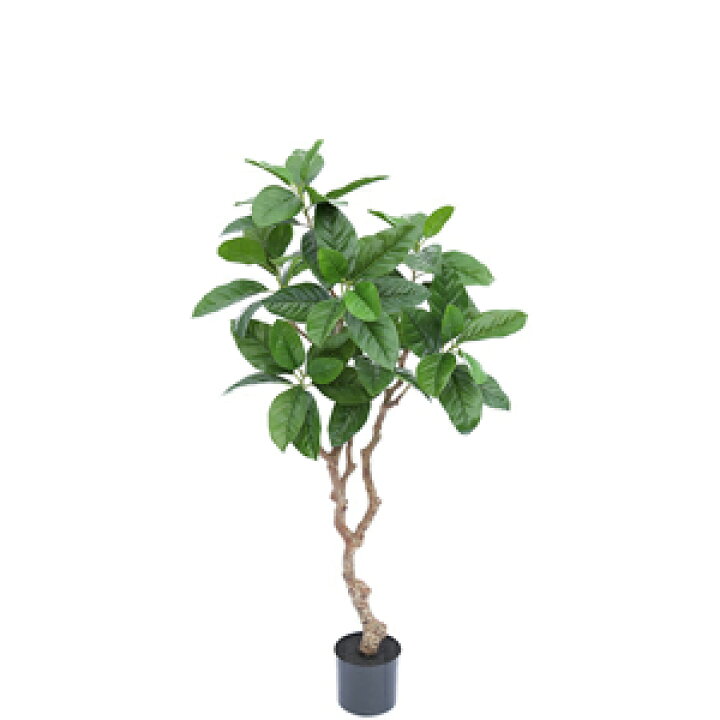 楽天市場 人工観葉植物 フェイクグリーン ピンポンの木 10 人工観葉植物 造花 You通販