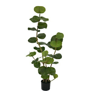 lHϗtA@tFCNO[@V[O[v1250 ylHϗtAEԁz