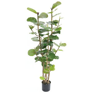 lHϗtA@tFCNO[@V[O[v1600 ylHϗtAEԁz