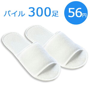 yĝăXbpz@pCn X^_[h W@艺tܓ (1Zbg300) yzʕyE͕ʓrz