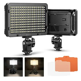Neewer ビデオライト 撮影ライト カメラ用ビデオライト 176個LED球 調光可能 超高輝度 5600K 1/4"スレッド デジタル一眼レフカメラに対応（バッテリーなし）