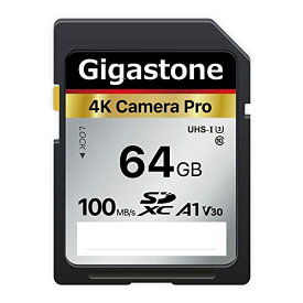 Gigastone SDカード 64GB メモリーカード A1 V30 U3 Class 10 SDXC 高速 4K UHD & Full HD ビデオ Canon Nikon など デジタルカメラ 一眼レフ対応 ミニケース1個付き