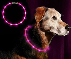LED光る首輪 Darhoo 首輪 犬 猫 光る LEDライト おしゃれ ペット 夜間 安全性 夜道 散歩 USB充電式 防水 小型犬 中型犬 大型犬に対応 サイズ調節可能 - ピンク