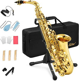 RAEastar サックス アルトサックス Eb Saxophone ゴールドラッカー サクソフォン ケース付き お手入れセット サックス 初心者 AS-2