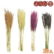 古代米 稲穂飾り 20本入