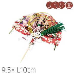  FT  k}t 1 9.8xL10cm