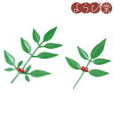 飾り南天（小/大）